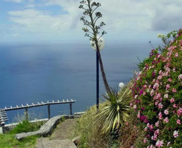 Agave em flor e o mar