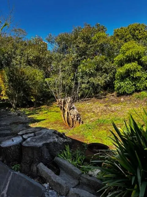 Jardim verde com muros de pedra