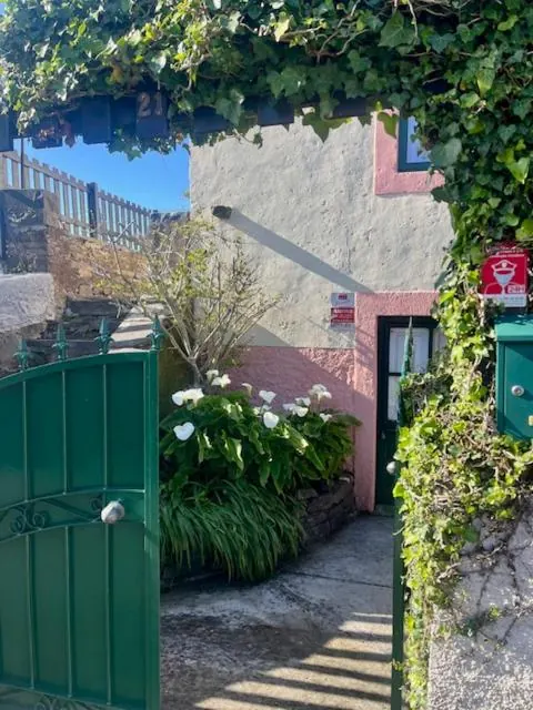 Portão verde na entrada, coberto de trepadeiras