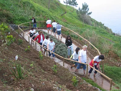 Pessoas a caminhar descalças no Caminho dos Pés Descalços, com o mar ao fundo